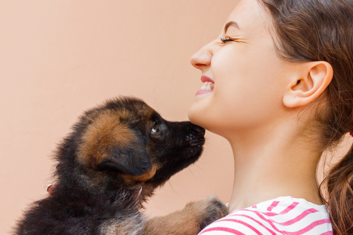 Woman being licked by puppy