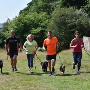 Dogs running