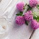 red clover herb on wooden table