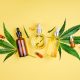 bottles of CBD oils and cannabis plants on a bright yellow background