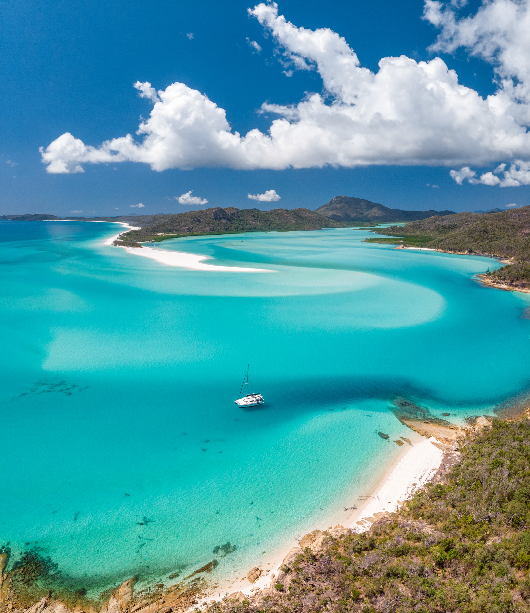 Sail like a celebrity in the Whitsundays