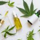 Looking at the best UK CBD brands