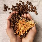 Two hands holding coffee beans