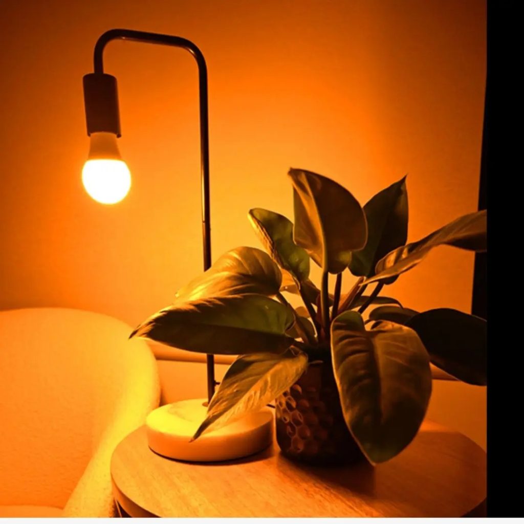 Bon Charge Full Spectrum Light Bulb