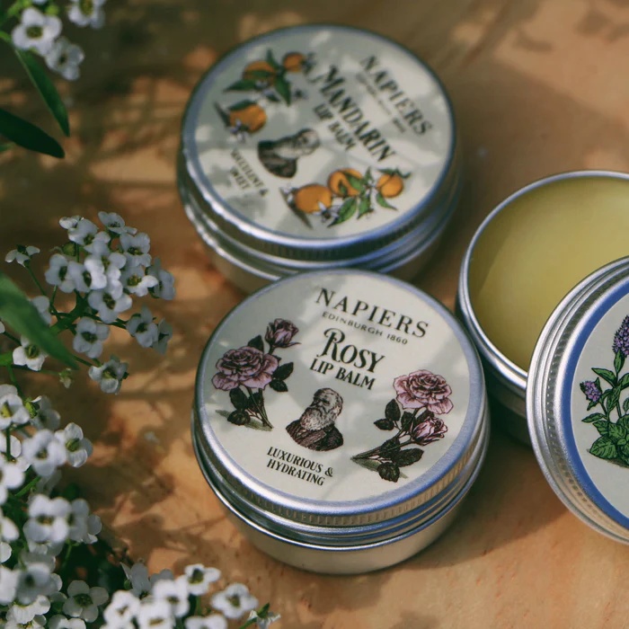 Napiers Lip Balm