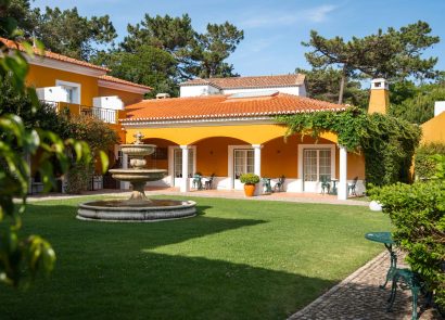 A view outdoors at Longevity Senses Cascais